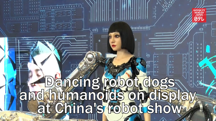 Dancing robot dogs and humanoids on display at China's robot show
