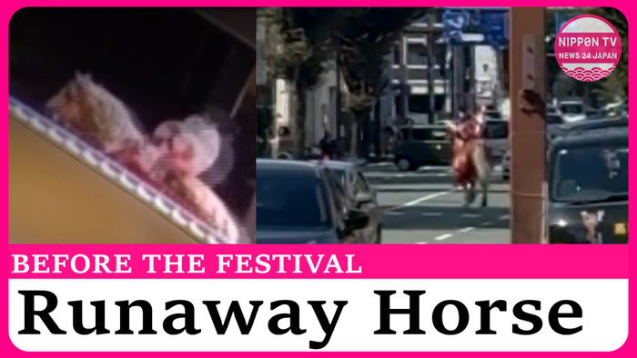 Festival horse runs into traffic in southwestern Japan
