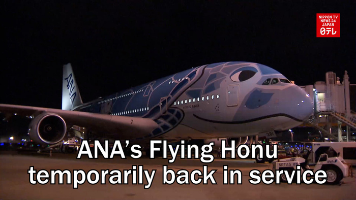 ANA's Flying Honu temporarily back in service
