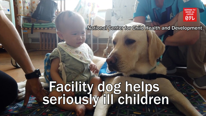 Facility dog helps seriously ill children