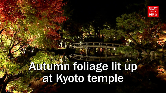 Autumn foliage lit up at Kyoto temple