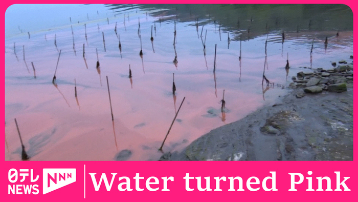 Mysterious Sea that Changes Color 