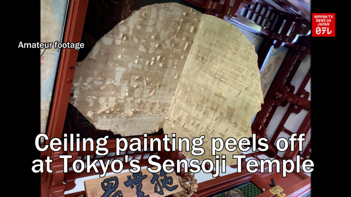 Ceiling painting peels off at Tokyo's Sensoji Temple
