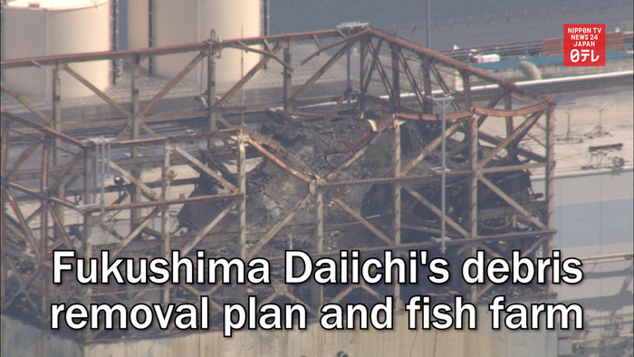 Fukushima Daiichi's debris removal plan and fish farm