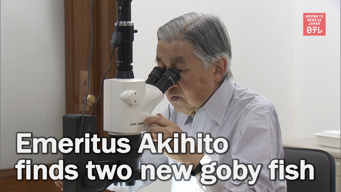 Emperor Emeritus Akihito discovers new fish species