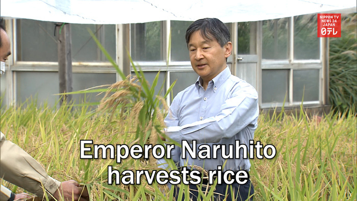 Emperor Naruhito harvests rice