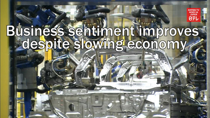 Survey shows Japanese business sentiment improves despite slowing economy