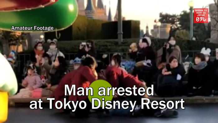 Man arrested at Tokyo Disney Resort for running out into Christmas parade
