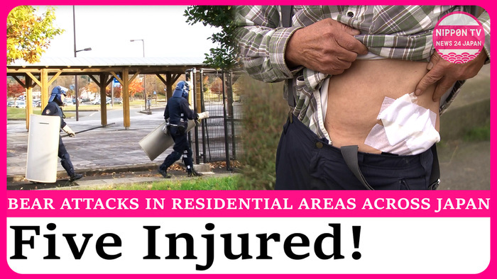 5 attacked by bears in northern Japan, spotted in Shinkansen depot