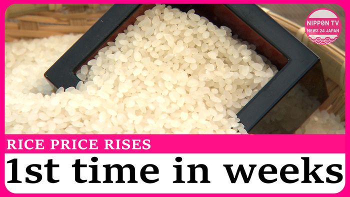 Supermarket rice price rises for first time in 10 weeks
