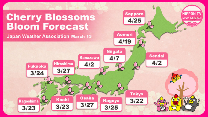 Japan Cherry Blossom Forecast 2025