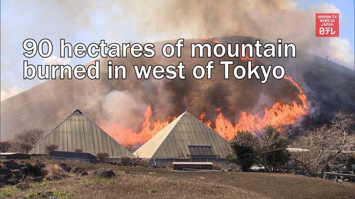 90 hectares of mountain burned in west of Tokyo