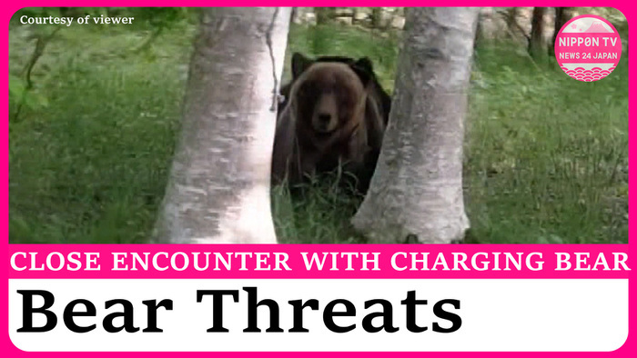 Bear charges at moving car, university cancels classes after bear sightings in northern Japan