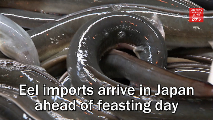 Eel imports arrive in Japan ahead of feasting day
