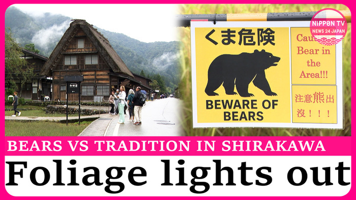Annual light-up event canceled in Shirakawa, Gifu over bear sightings