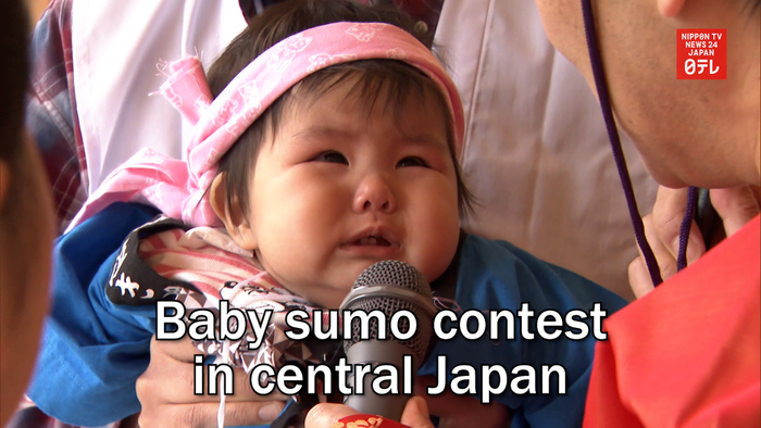 Baby sumo contest in central Japan