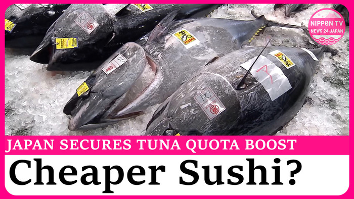 Japan secures bigger bluefin tuna quota as Mexico backs agreement