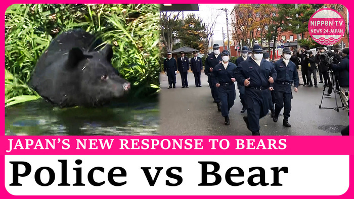 Japan expands response to bears by allowing police to shoot them