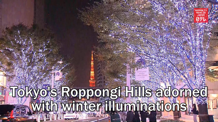 Tokyo's Roppongi Hills adorned with winter illuminations