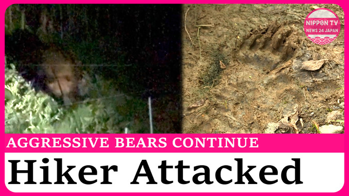 abm - Live At Bears 27th August ノイズ レア abm - Live At Bears 27th August ノイズ レア abm - Live At