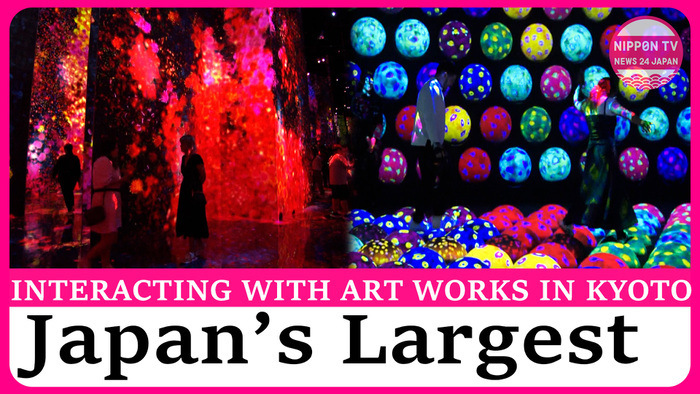 Immersive art museum opens near Kyoto Station