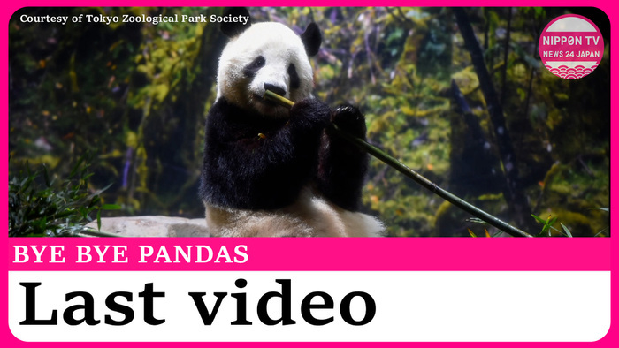 Ueno zoo releases last video of giant pandas