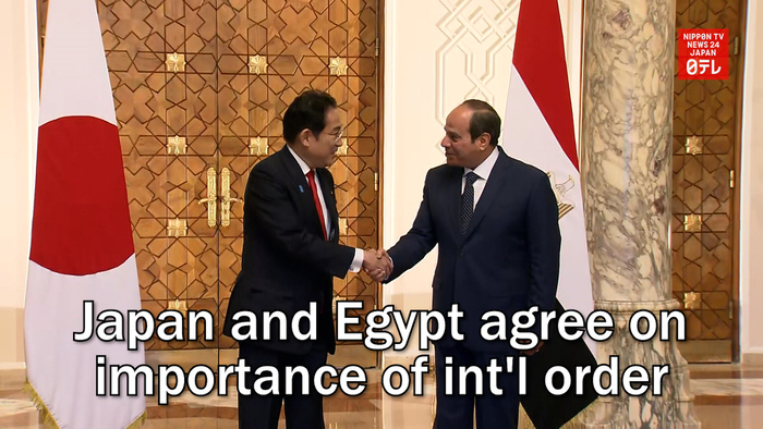 Japan and Egypt agree on importance of int'l order