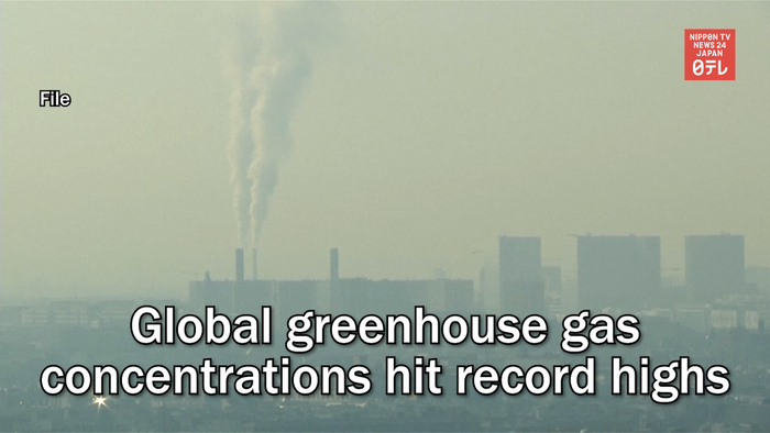 Global greenhouse gas concentrations hit record highs