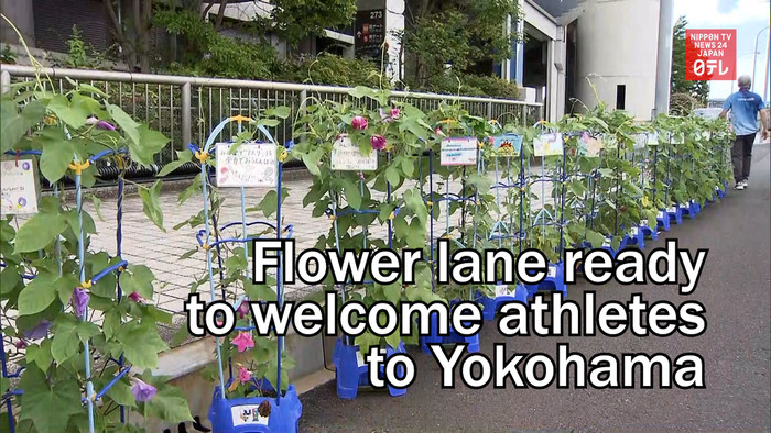 Flower lane ready to welcome athletes to Yokohama