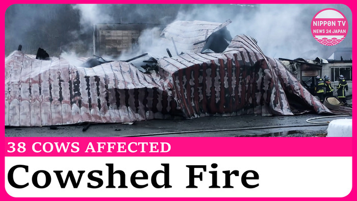 Cowshed in Hokkaido burns down