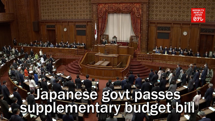 Japanese govt passes supplementary budget bill