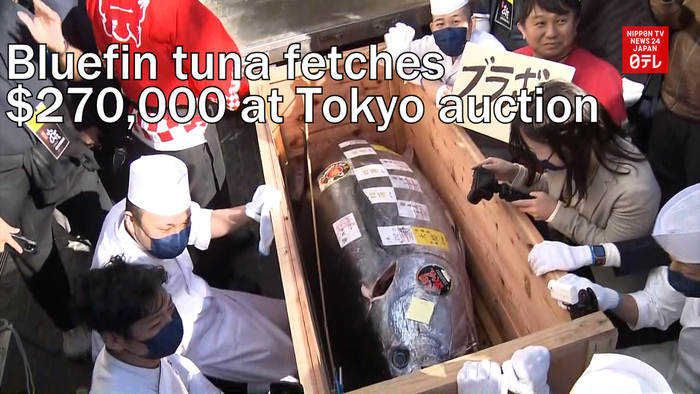 Bluefin tuna fetches around US $270,000 at Tokyo auction after COVID drop