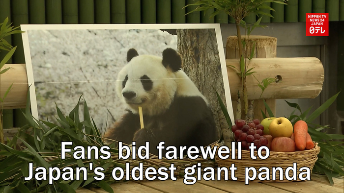 Fans bid farewell to Japan's oldest giant panda