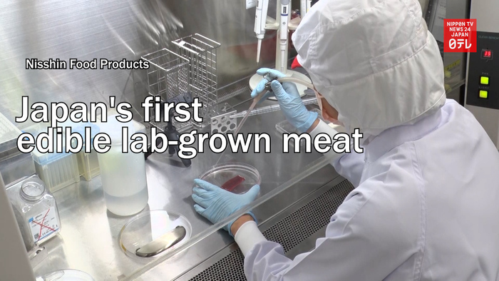Japan's first edible lab grown meat