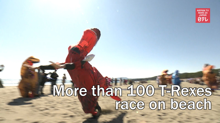 More than 100 T-Rexes race on beach in southwestern Japan