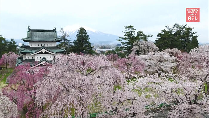 Aomori's landmark park reopens