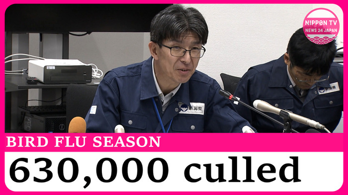 630,000 chickens to be culled in Niigata after confirmed cases of avian flu
