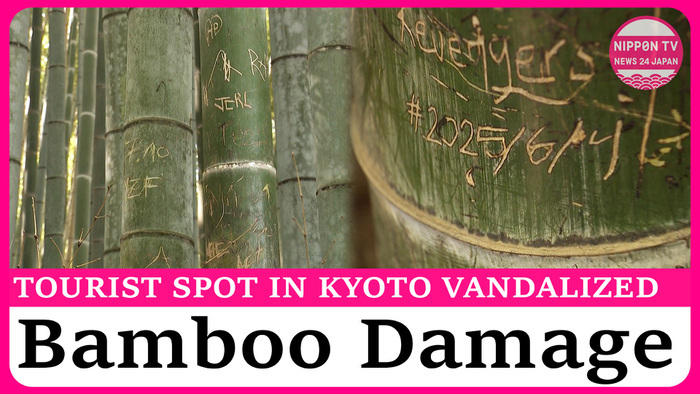 Famous Bamboo Forest in Kyoto victim of Vandalism
