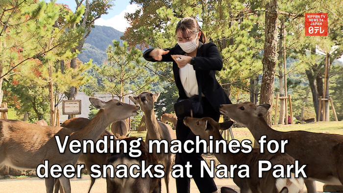 Vending machines for deer snacks at Nara Park