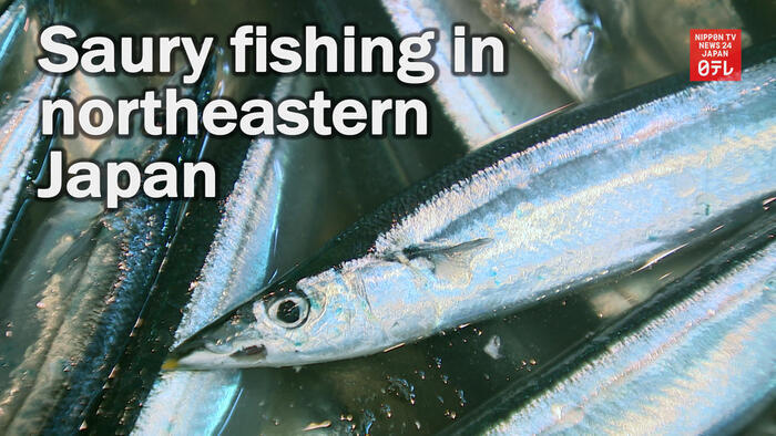 Saury fishing starts in northeastern Japan