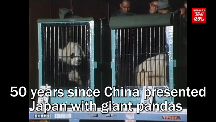 50 years since China presented Japan with giant pandas