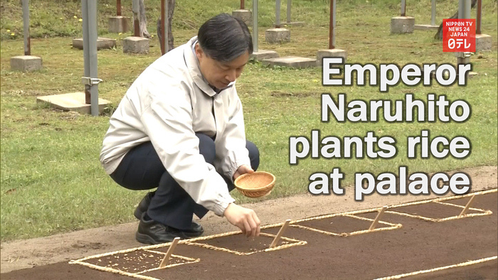 Emperor Naruhito plants rice at Imperial Palace
