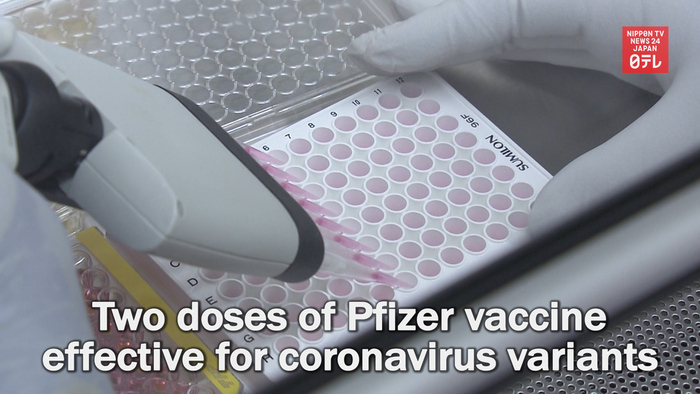 Two doses of Pfizer vaccine effective for coronavirus variants