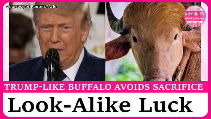 Buffalo avoids being sacrificed because it looks like Trump