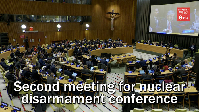 International nuclear disarmament conference holds second meeting