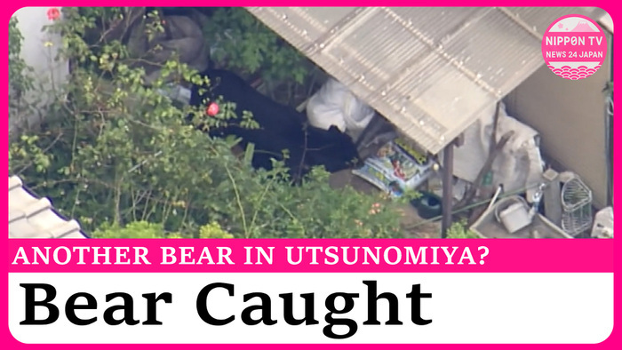 Bear captured north of Tokyo, but schools remain closed as another bear may be loose