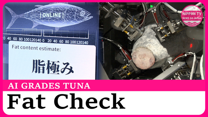 AI launched to grade tuna fat