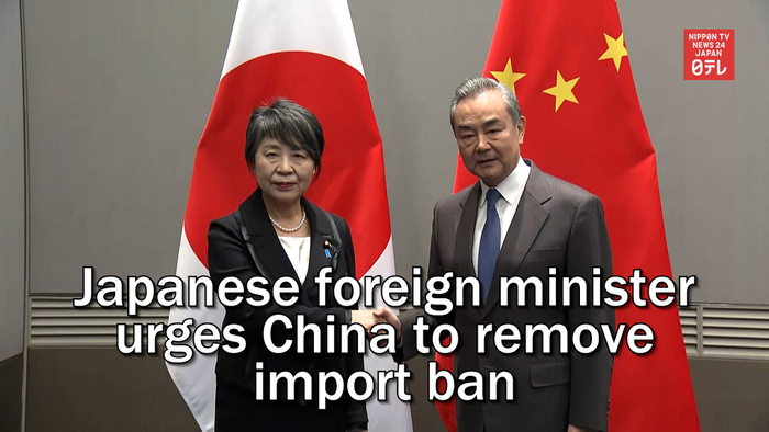 Japanese foreign minister urges China to remove import ban