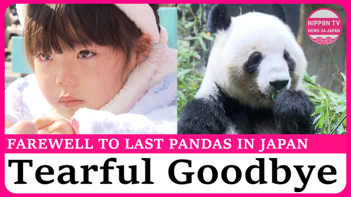 Thousands bid farewell to twin pandas on final viewing day at Tokyo's Ueno Zoo