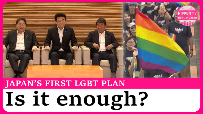 Japan approves first LGBT inclusion basic plan